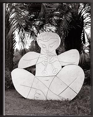 Picasso The Mediterranean Years 1945-1962: The Mediterranean Years 1945-1962