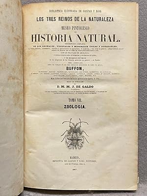 Bild des Verkufers fr MUSEO PINTORESCO DE HISTORIA NATURAL. Tomo VII. Zoologa. Miripodos, arcnidos, crustceos y annlidos. Moluscos y zofitos. zum Verkauf von Auca Llibres Antics / Yara Prez Jorques