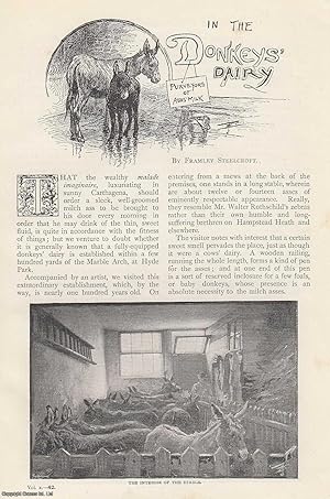 Imagen del vendedor de In The Donkey's Dairy, at Marble Arch, Hyde Park. Illustrated with photographs of the milking parlours, donkeys being milked, etc. An uncommon original article from The Strand Magazine, 1895. a la venta por Cosmo Books