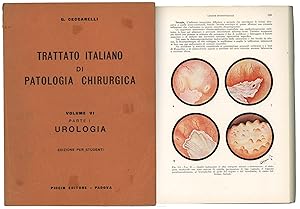 Trattato italiano di patologia chirurgica UROLOGIA