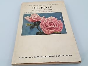 Immagine del venditore per Die Rose in garten und Park. Ein Handbuch fr jedermann venduto da SIGA eG
