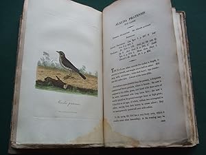 British Ornithology; Being the History, with a Coloured Representation, of Every Know Species of ...