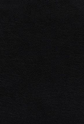 Immagine del venditore per NIV, Thompson Chain-Reference Bible, Handy Size, European Bonded Leather, Black, Thumb Indexed, Red Letter, Comfort Print venduto da ChristianBookbag / Beans Books, Inc.