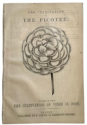 The Cultivation of The Picotee: to which is added the Cultivation of Vines in Pots