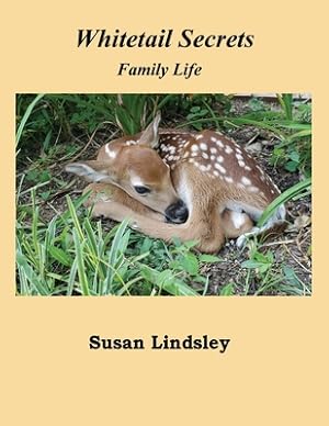 Seller image for Whitetail Secrets: Family Life (Paperback or Softback) for sale by BargainBookStores