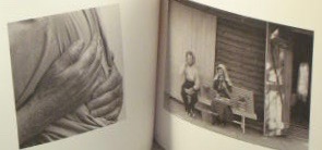Imagen del vendedor de Celebrating a Collection: The Work of Dorothea Lange. a la venta por Bucks County Bookshop IOBA