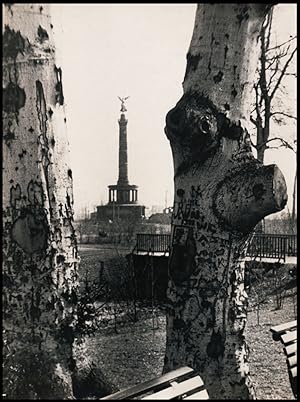 Tiergarten und Siegessäule.