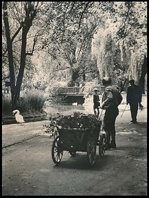 Herbstliches Berlin - Stadtpark Steglitz.