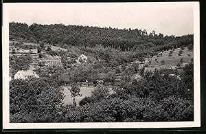 Fotografie Brück, Sohn Meissen, Ansicht Golk, Ortsansicht im Golkwald