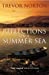 Seller image for Reflections on a Summer Sea [Soft Cover ] for sale by booksXpress