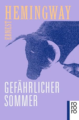 Bild des Verkufers fr Gefhrlicher Sommer zum Verkauf von Buchhandlung Loken-Books