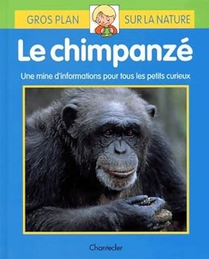 Le chimpanzé - Yi-Wen Chang