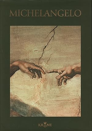 Seller image for Michelangelo for sale by Leipziger Antiquariat