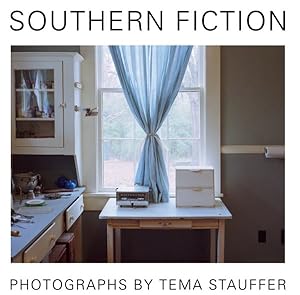 Seller image for Southern Fiction for sale by GreatBookPricesUK