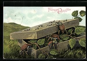 Bild des Verkufers fr Knstler-Ansichtskarte Maikfer bei der Flucht aus einem Karton mit Birkenlaub, Pfingstgruss zum Verkauf von Bartko-Reher