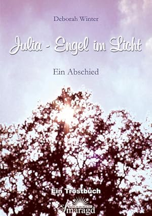 Seller image for Julia - Engel im Licht: Ein Abschied for sale by buchlando-buchankauf