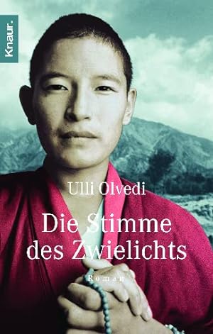 Immagine del venditore per Die Stimme des Zwielichts: Roman | Die Fortsetzung des Tibetromans Wie in einem Traum venduto da Gabis Bcherlager