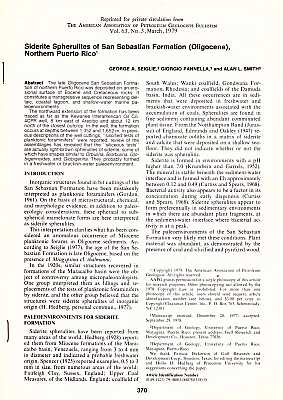 Immagine del venditore per Siderite Spherulites of San Sebastian Formation (Oligocene), Northern Puerto Rico venduto da ConchBooks