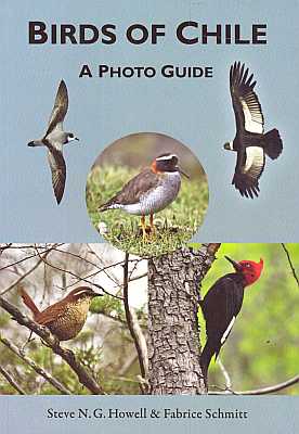 Bild des Verkufers fr Birds of Chile. A Photo Guide zum Verkauf von ConchBooks