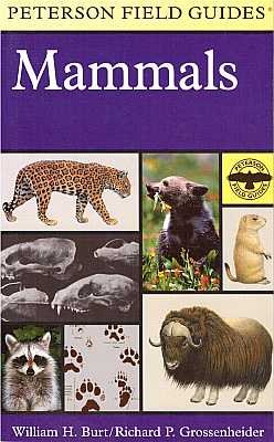 Imagen del vendedor de A Field Guide to the Mammals: North America north of Mexico [3rd ed.] a la venta por ConchBooks