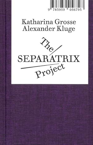 Seller image for The Separatrix Project for sale by Rheinberg-Buch Andreas Meier eK