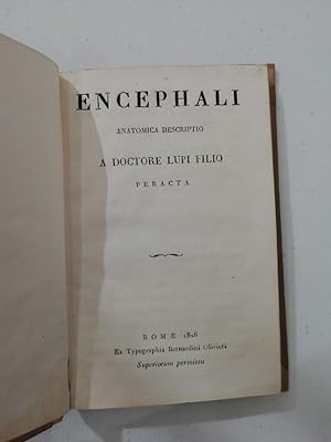 Encephali anatomica descriptio a doctore Lupi filio peracta. Roma, Bernardino Olivieri, 1826. (le...