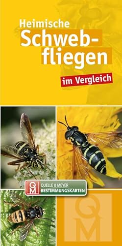 Bild des Verkufers fr Heimische Schwebfliegen im Vergleich : 10er-Set zum Verkauf von AHA-BUCH GmbH