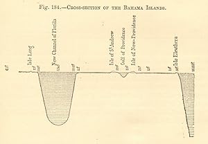 Cross-section of the Bahama Islands