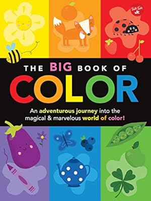 Seller image for The Big Book of Color: An adventurous journey into the magical & marvelous world of color! (Big Book Series) for sale by Pieuler Store