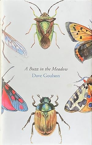 Immagine del venditore per A buzz in the meadow venduto da Acanthophyllum Books