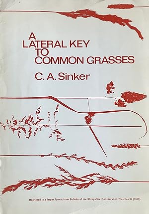 Seller image for A lateral key to common grasses for sale by Acanthophyllum Books