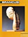 Seller image for Constantin Brancusi for sale by Pieuler Store