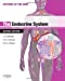 Imagen del vendedor de The Endocrine System: Systems of the Body Series a la venta por Pieuler Store