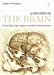 Seller image for A History of the Brain: From Stone Age surgery to modern neuroscience for sale by Pieuler Store