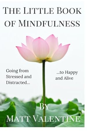 Seller image for The Little Book of Mindfulness for sale by Pieuler Store