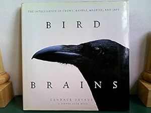 Immagine del venditore per Bird Brains: The Intelligence of Crows, Ravens, Magpies, and Jays venduto da Pieuler Store