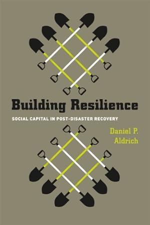 Seller image for Building Resilience: Social Capital in Post-Disaster Recovery for sale by Pieuler Store