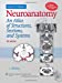 Imagen del vendedor de Neuroanatomy: An Atlas of Structures, Sections, and Systems a la venta por Pieuler Store