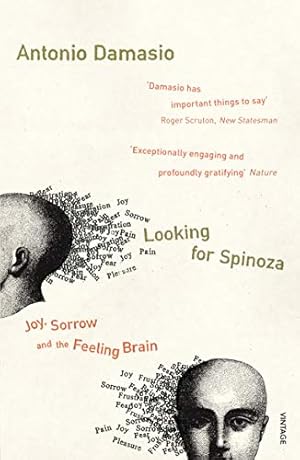 Imagen del vendedor de Looking for Spinoza [Soft Cover ] a la venta por booksXpress