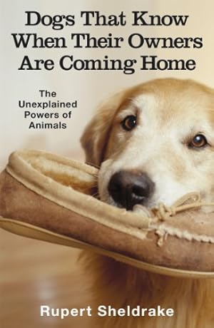 Seller image for Dogs That Know When Their Owners Are Coming Home [Soft Cover ] for sale by booksXpress