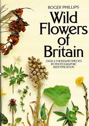 Immagine del venditore per Wild Flowers of Britain venduto da PEMBERLEY NATURAL HISTORY BOOKS BA, ABA