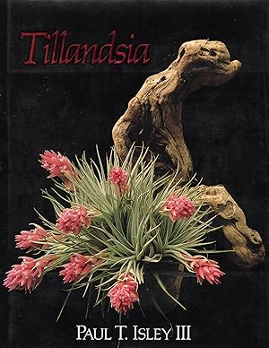 Tillandsia: The World's Most Unusual Airplants