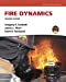 Seller image for Fire Dynamics for sale by Pieuler Store