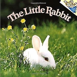 Imagen del vendedor de The Little Rabbit (Picturebacks S.) a la venta por Pieuler Store