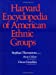 Seller image for Encyclopaedia of American Ethnic Groups for sale by Pieuler Store