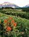 Seller image for Plant Physiology & Development for sale by Pieuler Store