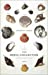 Seller image for Shell Collector, the: Stories for sale by Pieuler Store