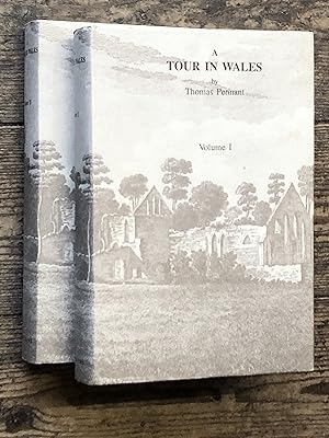 Immagine del venditore per A Tour in Wales (In two volumes) venduto da Dyfi Valley Bookshop