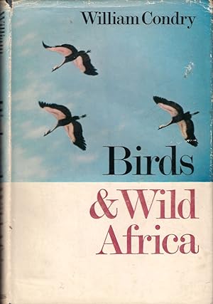 Seller image for BIRDS & WILD AFRICA. By William Condry. for sale by Coch-y-Bonddu Books Ltd