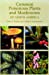 Seller image for Common Poisonous Plants and Mushrooms of North America for sale by Pieuler Store